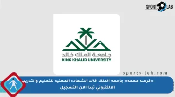 «فرصة مهمة» جامعة الملك خالد الشهادة المهنية للتعليم والتدريب الإلكتروني تبدأ الآن التسجيل